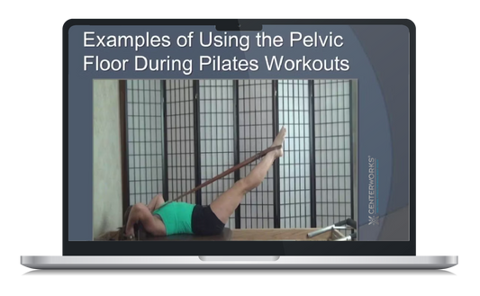 Pelvic Floor Mastery: A Guide to Core Support and Stability