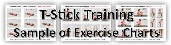 T-Stick & Laminated T-Stick Training Exercise Charts
