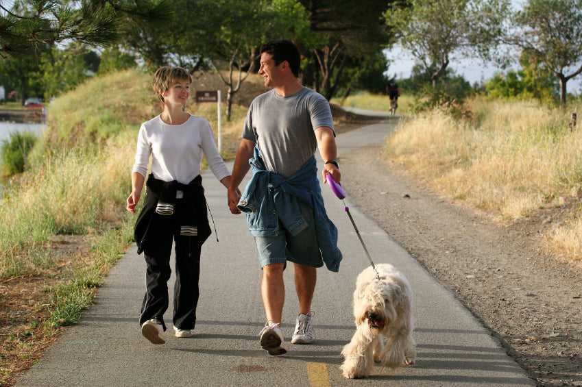 Walk Healthy: Improve Foot Fitness &amp; Reduce Foot Pain