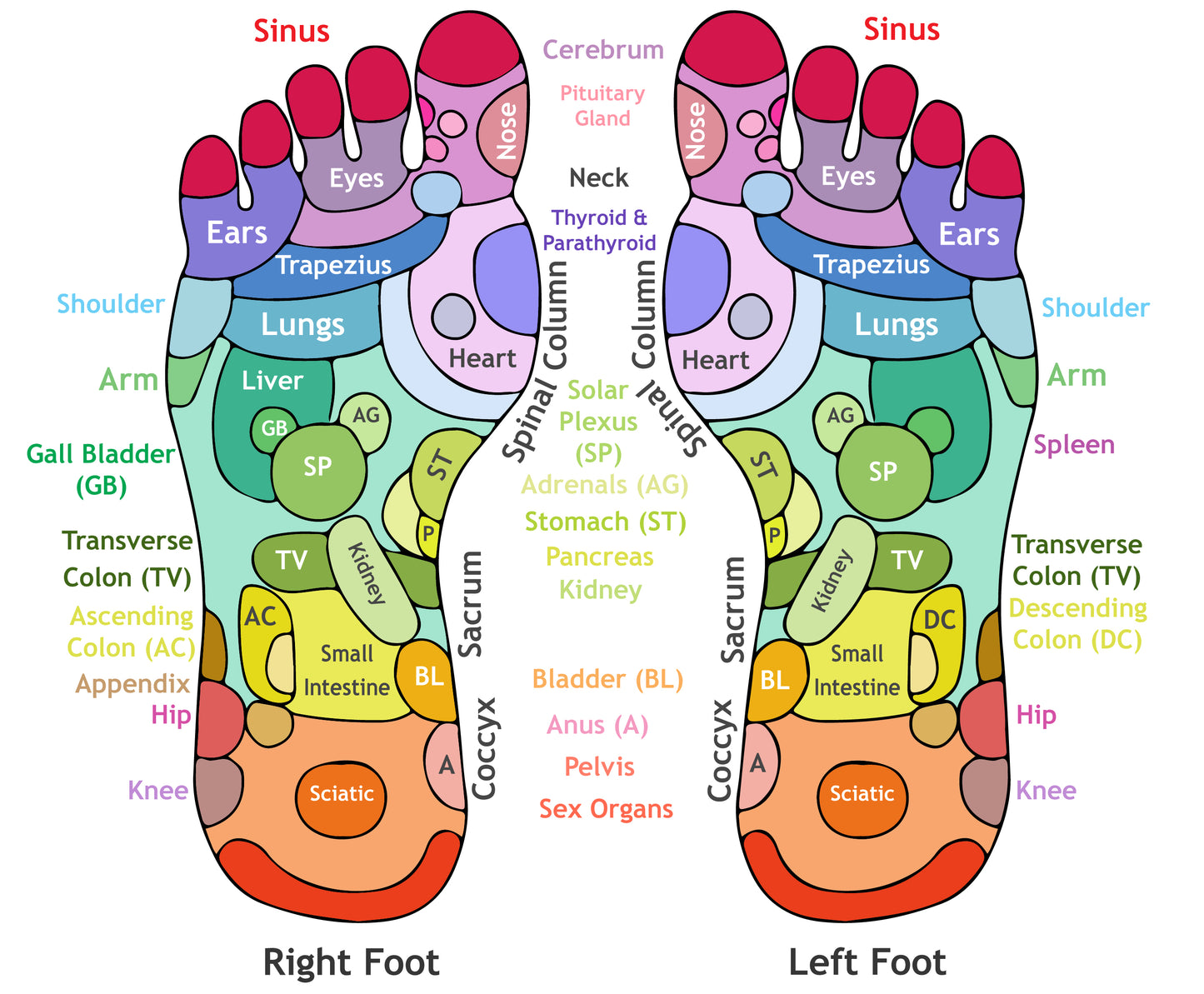 Centerworks Acupressure Foot Massage Mat