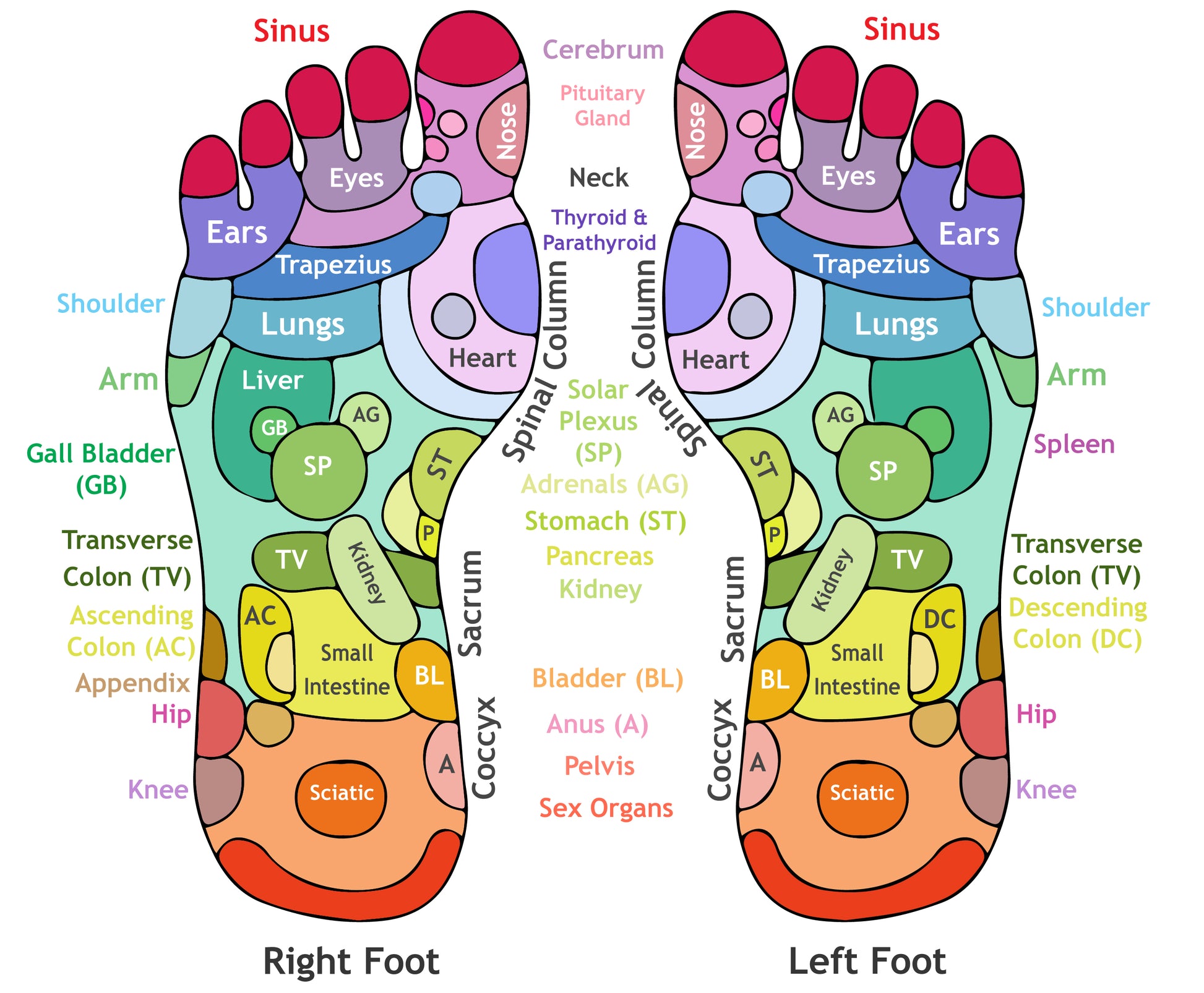 Centerworks Acupressure Foot Massage Mat – Centerworks® Online